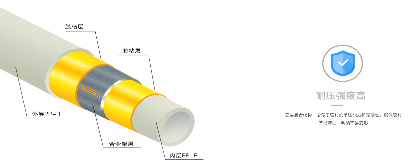 360albumviewer_imgproc_240419671_副本.png